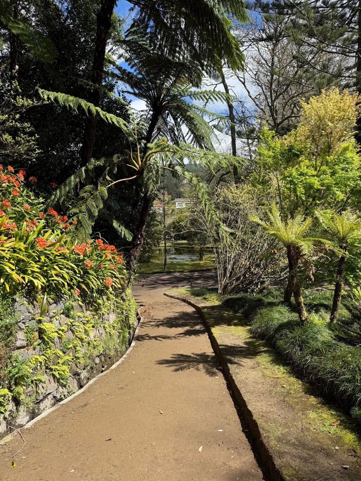 Lush garden walking path in Ribeira dos Caldeir&otilde;es park S&atilde;o Miguel Azores