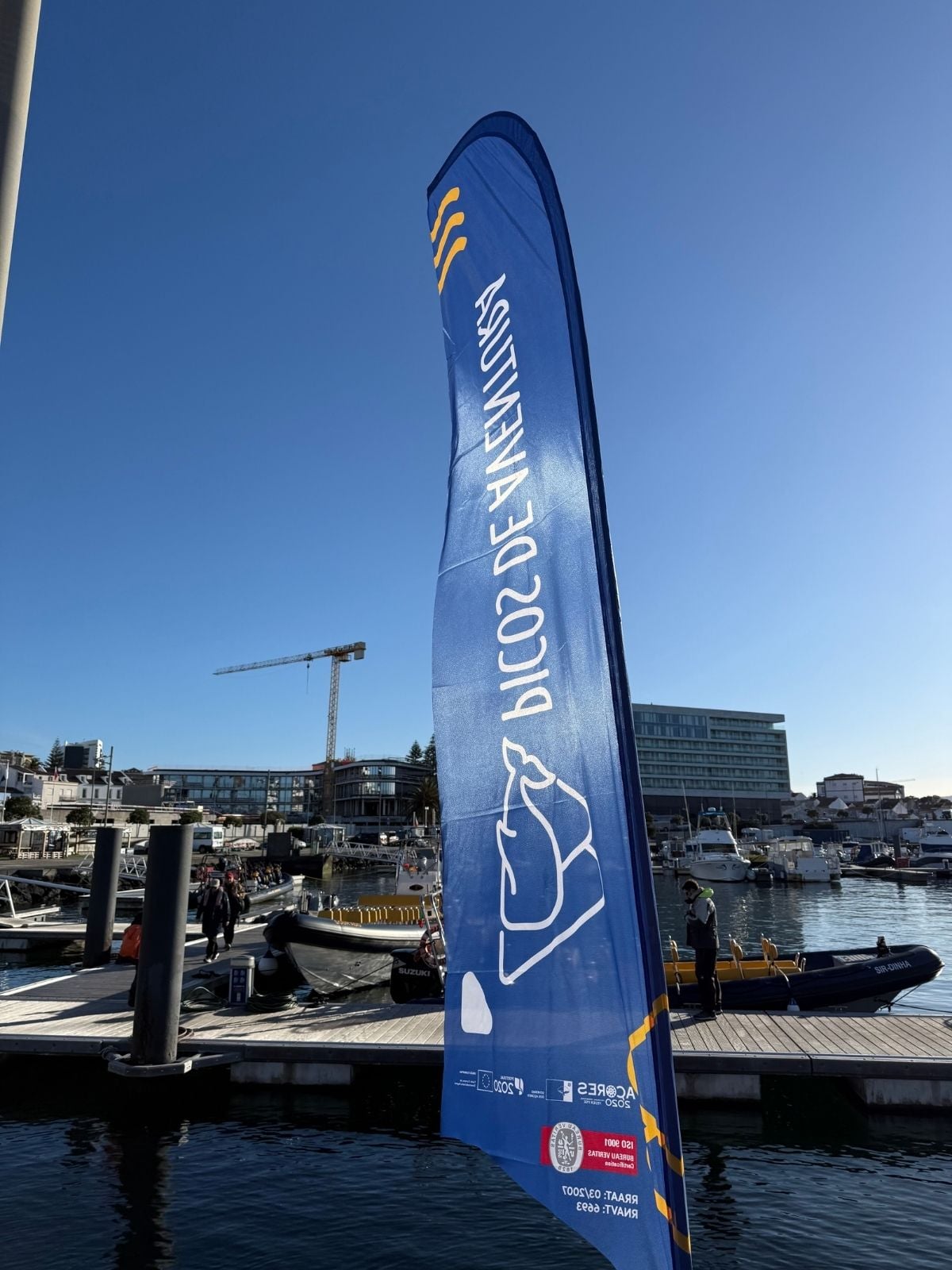Whale watching boats at marina in Ponta Delgada Azores