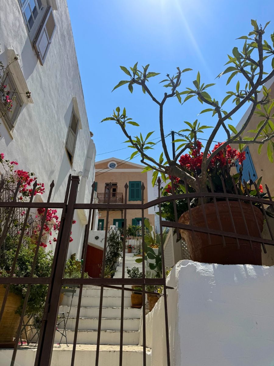 Whitewashed courtyard in Symi, Greece featuring lush potted plants, flowering trees, and traditional island architecture.